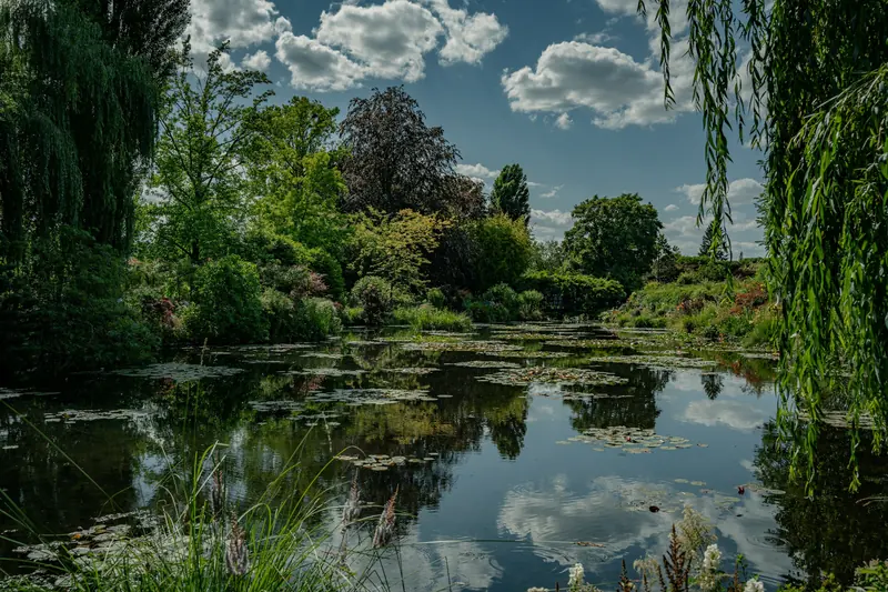 Naturnaher Teich mit Seerosen und Uferbepflanzung
